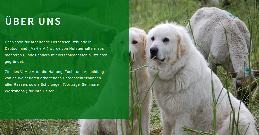 Screenshot 2025 01 05 213500